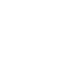 Dolphin AI